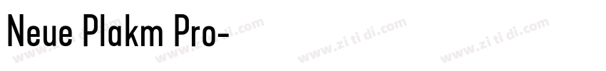 Neue Plakm Pro字体转换
